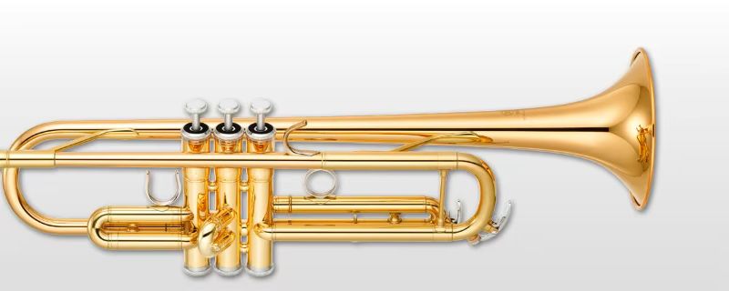 La Yamaha YTR-4335 G II